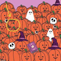 Spot The Unique Halloween